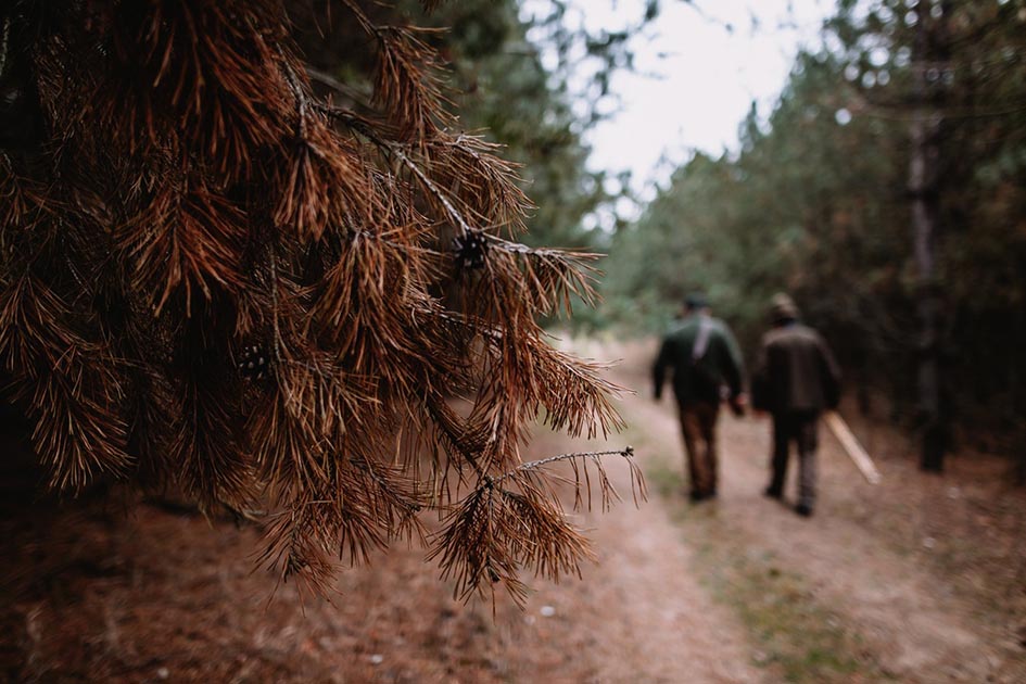 men leaves background