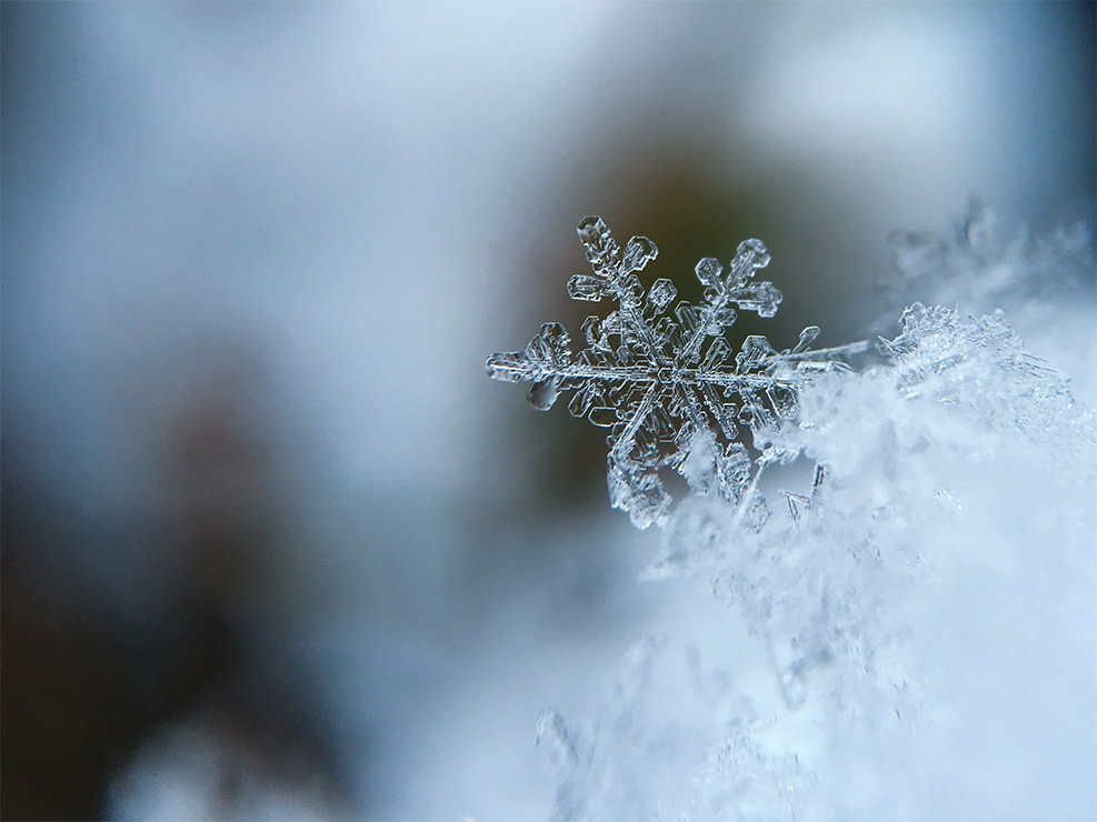 snowflake closeup