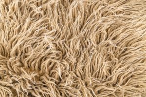 clothing fibers