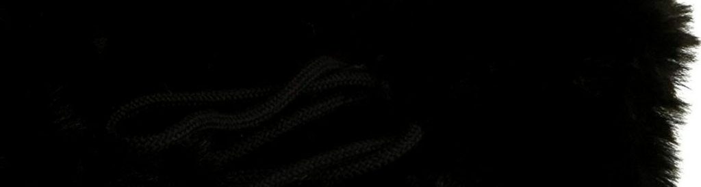 sam edelman background