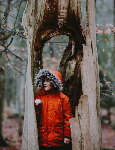 red jacket in tree